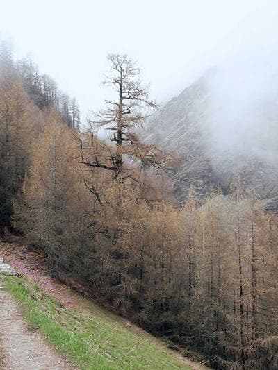 Portrait photography